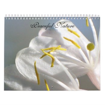 Peaceful Nature Calendar by Honeysuckle_Sweet at Zazzle