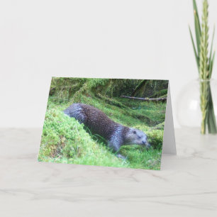 Peaceful Otter Riverside Wildlife Nature Scene Card