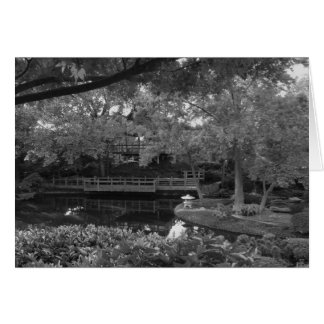 Peaceful Path Cards
