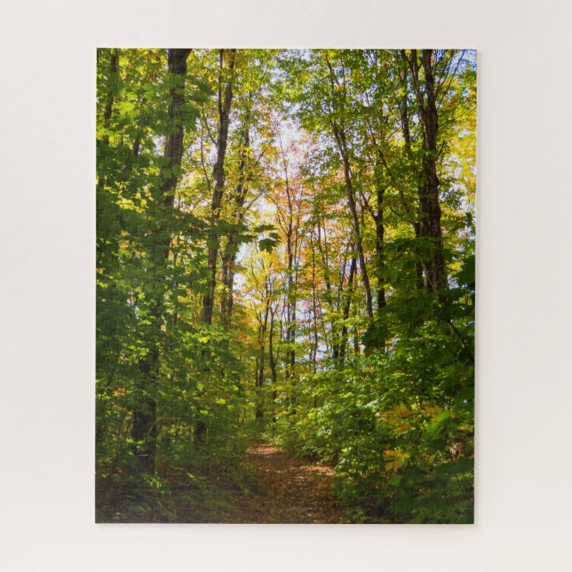 Peaceful Path In The Forest Jigsaw Puzzle (Vertical)