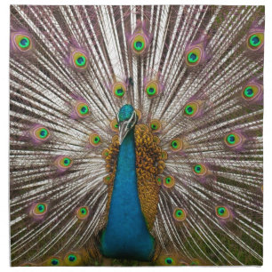 Peaceful Peacock Cloth Napkin