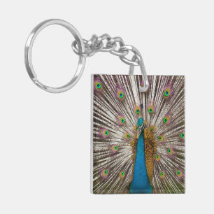 Peaceful Peacock Keychain