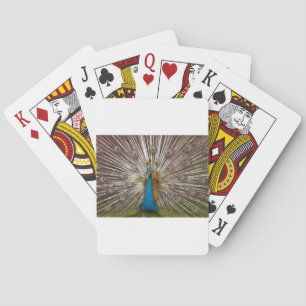 Peaceful Peacock Poker Cards