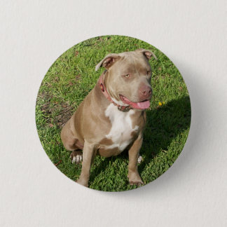 Peaceful Pitbull Pinback Button