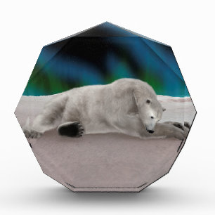 Peaceful Polar Bear Arctic Nature Illustration Acrylic Award