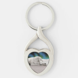 Peaceful Polar Bear Arctic Nature Illustration Keychain