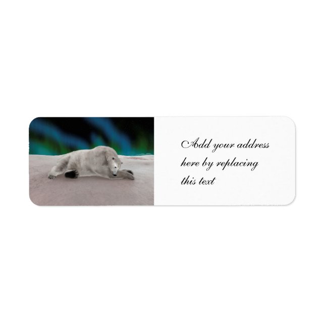 Peaceful Polar Bear Arctic Nature Illustration Label (Front)