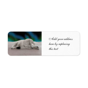Peaceful Polar Bear Arctic Nature Illustration Label