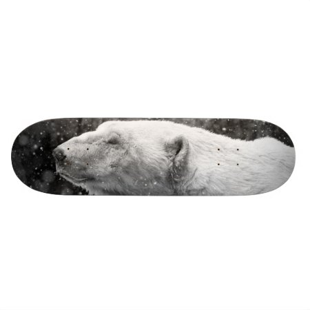 Peaceful Polar Bear Skateboard