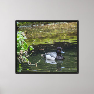 Peaceful pond life Stretched Canvas Print