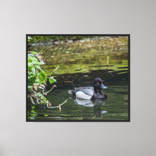 Peaceful pond life Stretched Canvas Print (Front)