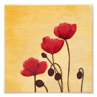 Peaceful Red Poppies Print