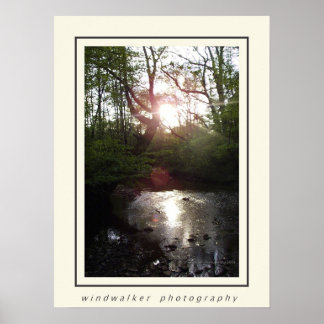 Peaceful Rest Poster