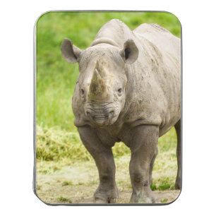 Peaceful Rhino Jigsaw Puzzle