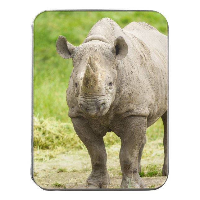 Peaceful Rhino Jigsaw Puzzle (Lid Vertical)