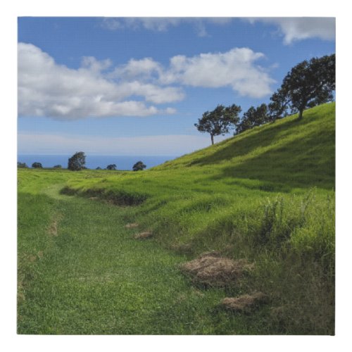 Peaceful Scene Big Island Hawaii Faux Canvas Print