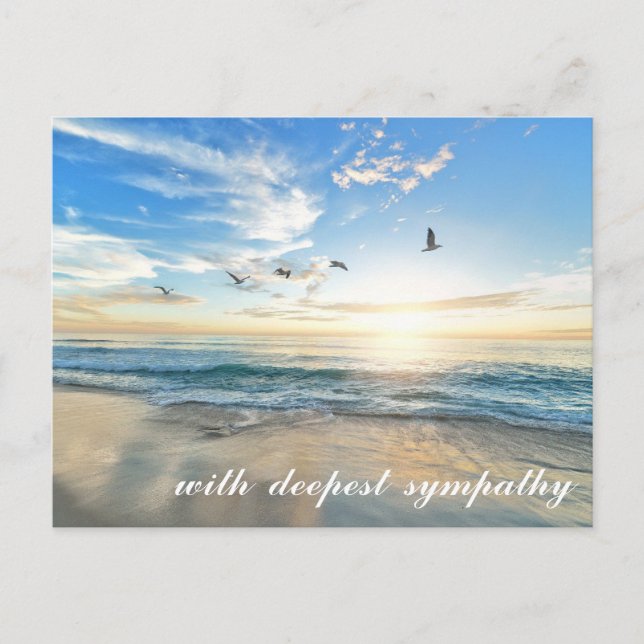 Peaceful Sea Shore Scene with Birds Sympathy Postcard (Front)