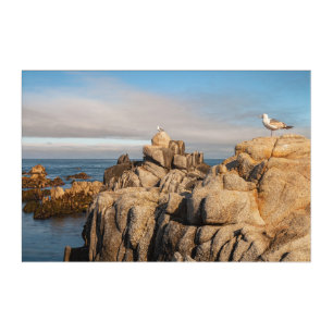 Peaceful Seascape Scene Acrylic Print