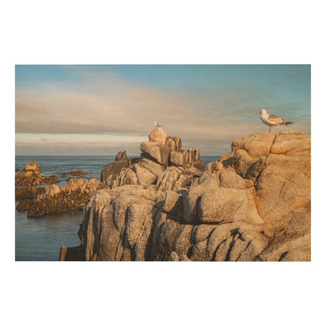 Peaceful Seascape Scene Wood Wall Art (Front)