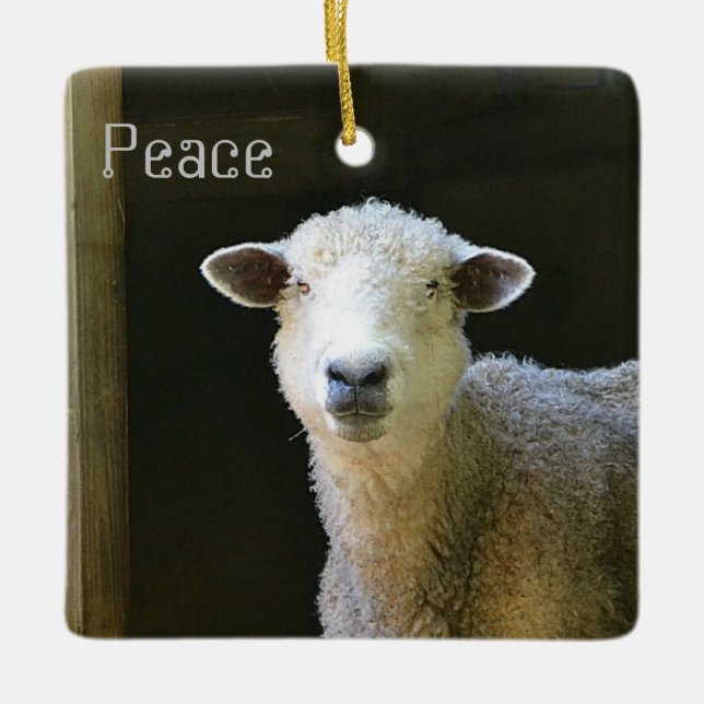 Peaceful Sheep Ceramic Ornament (Front)