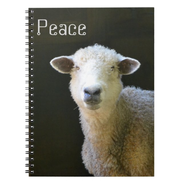 Peaceful Sheep Notebook (Front)
