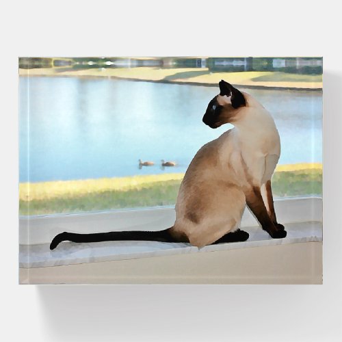 Peaceful Siamese Cat Painting Paperweight