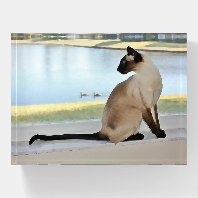 Peaceful Siamese Cat Painting Paperweight (Front)