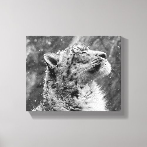 Peaceful Snow Leopard Canvas Print