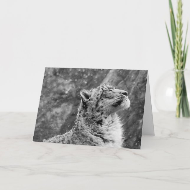 Peaceful Snow Leopard Holiday Card (Front)