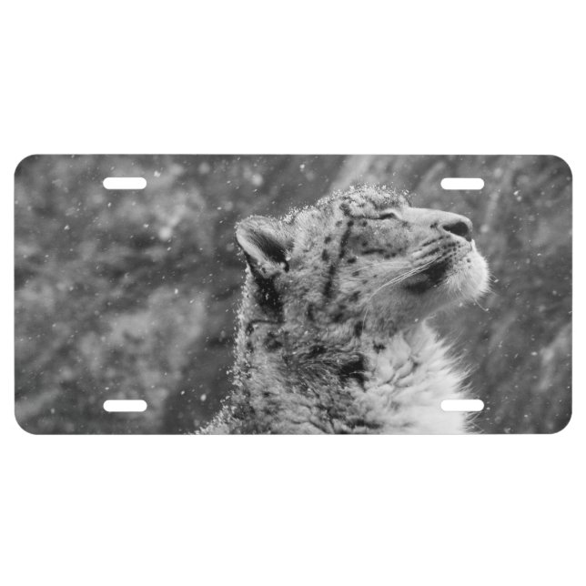 Peaceful Snow Leopard License Plate (Front)