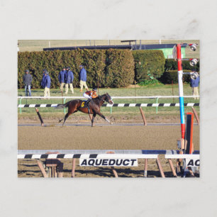 Peaceful Talk Wins on New Year's Day Holiday Postcard