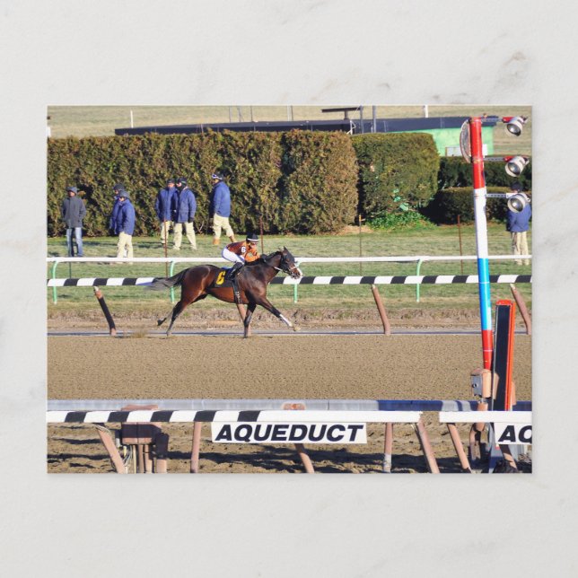 Peaceful Talk Wins on New Year's Day Holiday Postcard (Front)