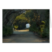 Peaceful trail (Front Horizontal)