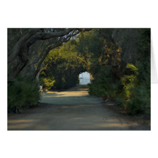 Peaceful trail cards