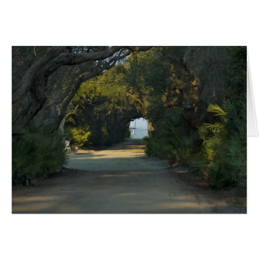 Peaceful trail cards (Front Horizontal)