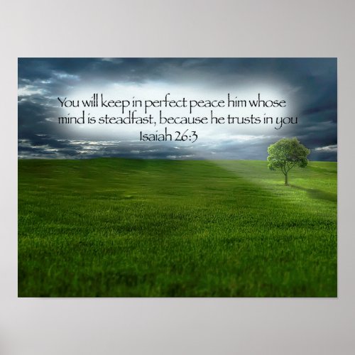 Peaceful Tree Field Blue Sky Bible Verse Poster