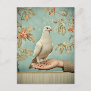 Peaceful White Dove Postcard