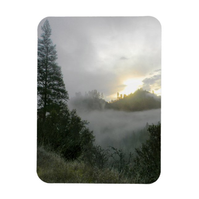 Peaceful Winter Morning.... Magnet (Vertical)