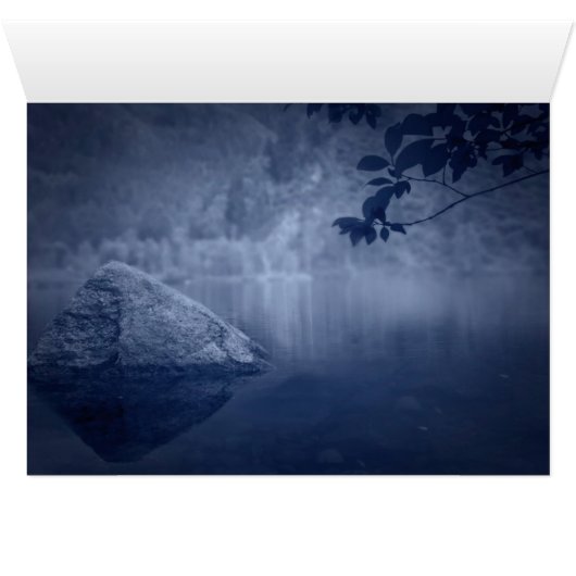 Peaceful Woodland (Inside Horizontal (Bottom))