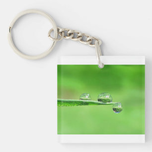Peaceful zen green grass with dew drops nature keychain