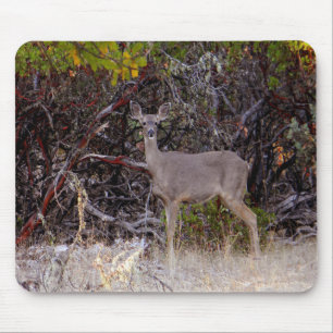 Peacefully.... Mouse Pad