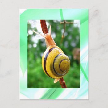 Peacefulness Postcard by Honeysuckle_Sweet at Zazzle
