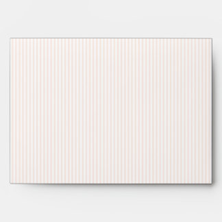 Peach and Blue Sand Dollars Beach Wedding Envelope