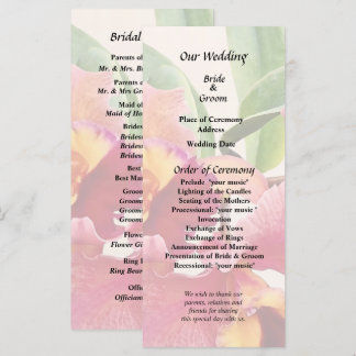 Peach and Crimson Cattleya Orchids Program