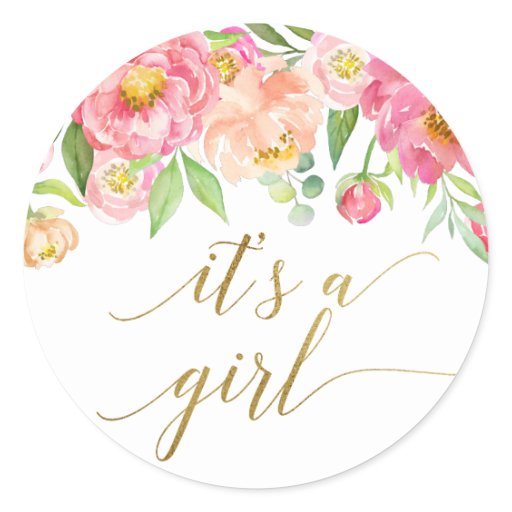 peach_and_pink_peony_flowers_its_a_girl_classic_round_sticker r8064251d93c743629a54de84be9fc63e_v9waf_8byvr_512