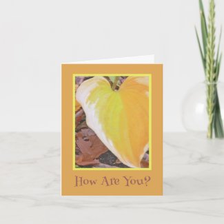 PEACH AND YELLOW LARGE HEART-SHAPED HOSTA LEAF