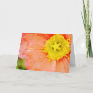 Peach and Yellow Poppy Thank You Card