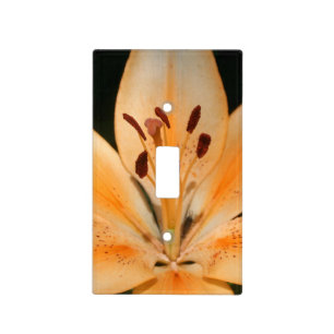 Peach Asiatic Lily Closeup Light Switch Cover