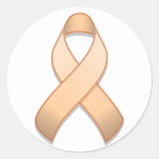 Peach Awareness Ribbon Round Sticker
