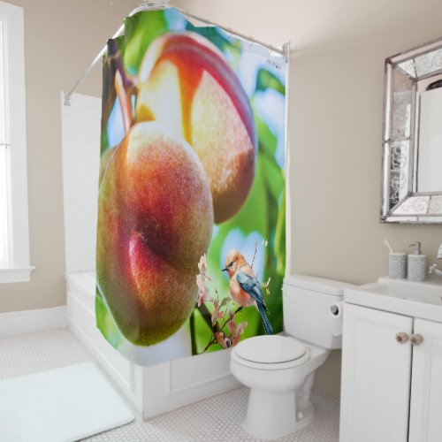 peach bird Shower Curtain